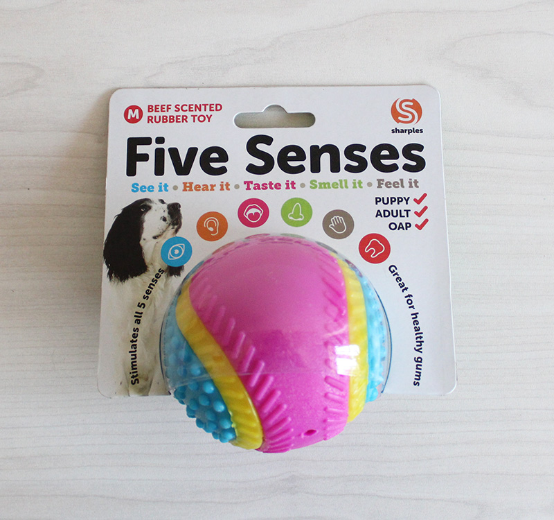 five senses dog ball