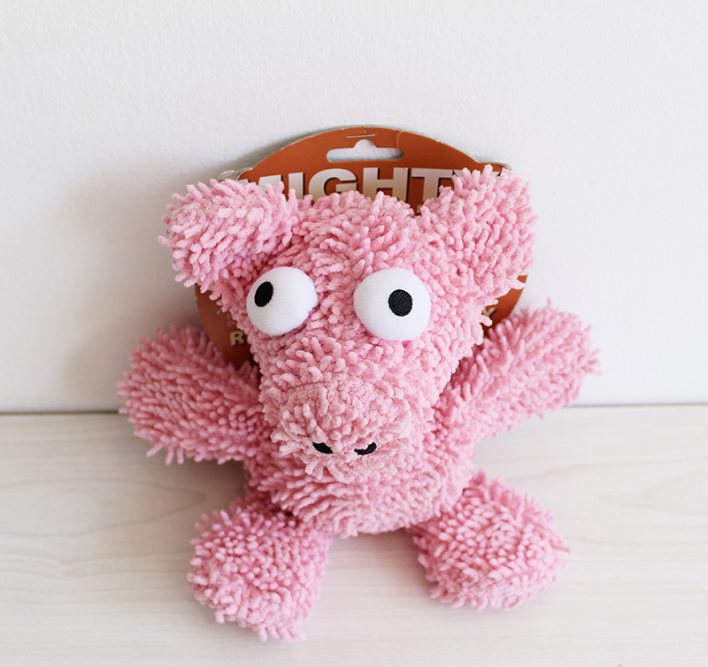 mighty pig dog toy