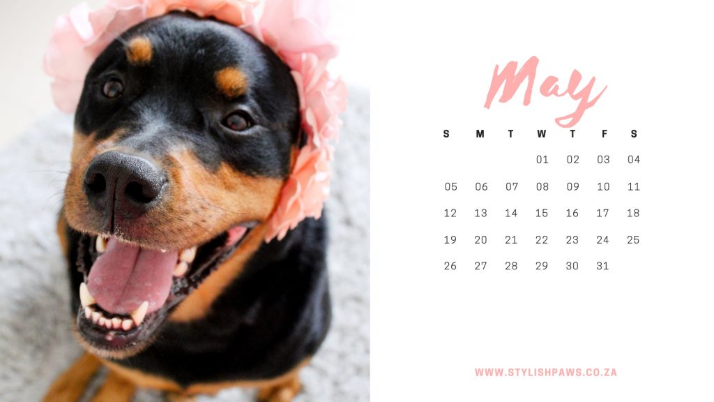 may calendar