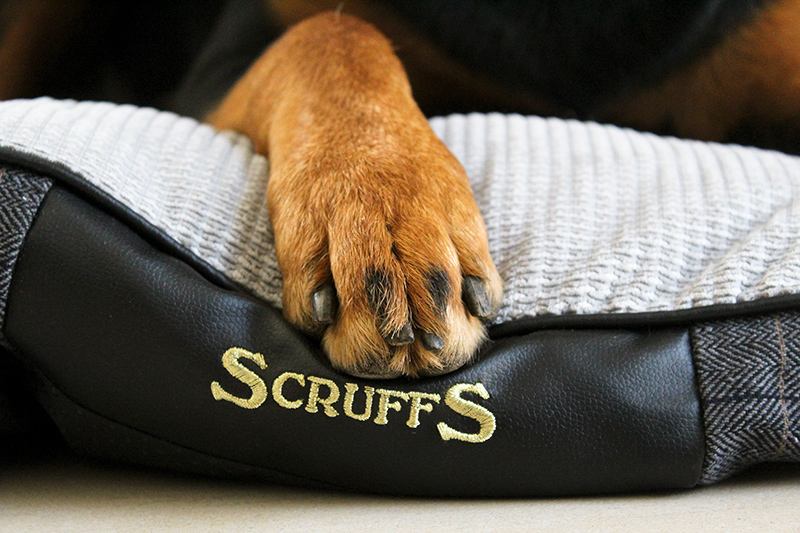 scruffs luxury pet beds