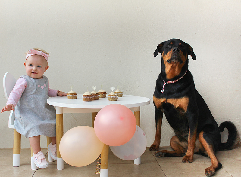 dog birthday party