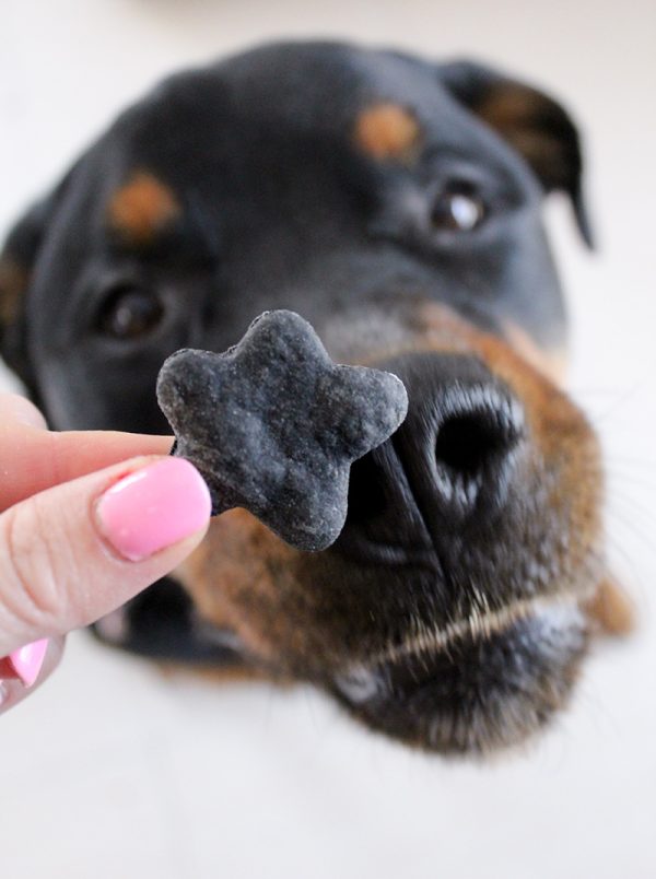 Activated Charcoal Dog Treats Stylish Paws