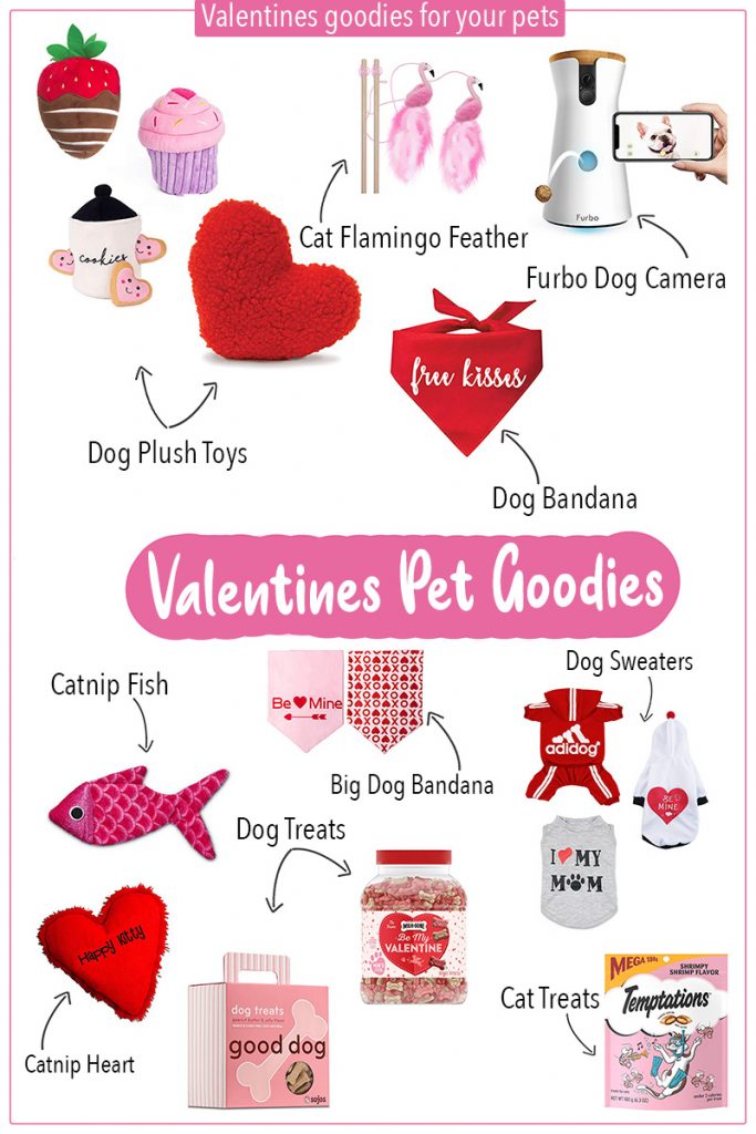 Valentine's Day pet goodies