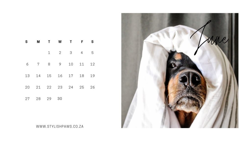 June calendar 2021 printable