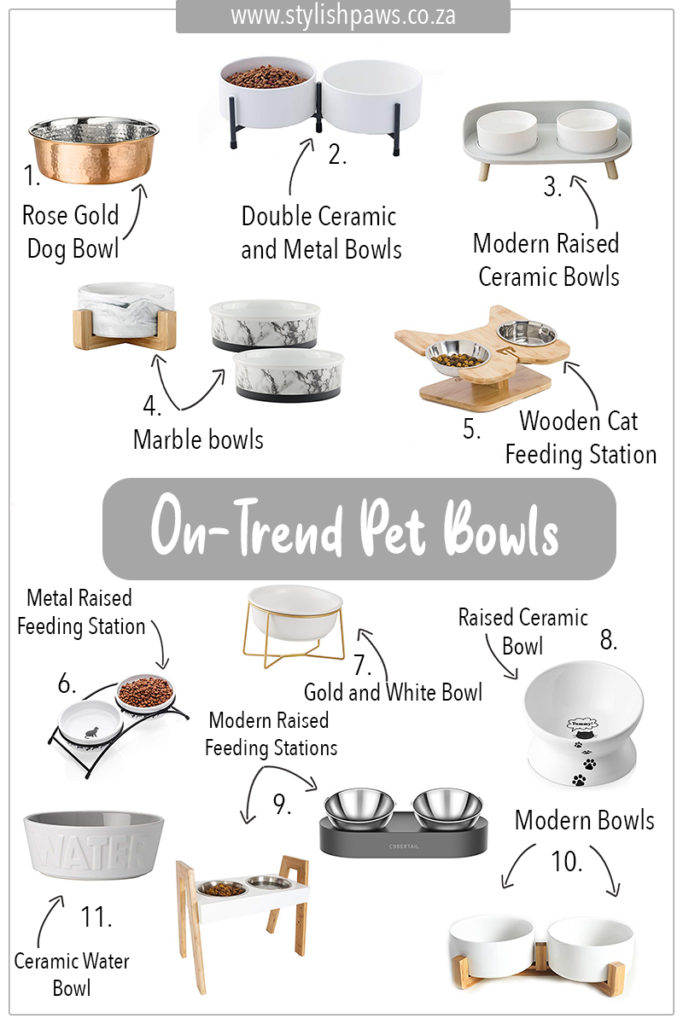 on-trend pet bowls found on Amazon