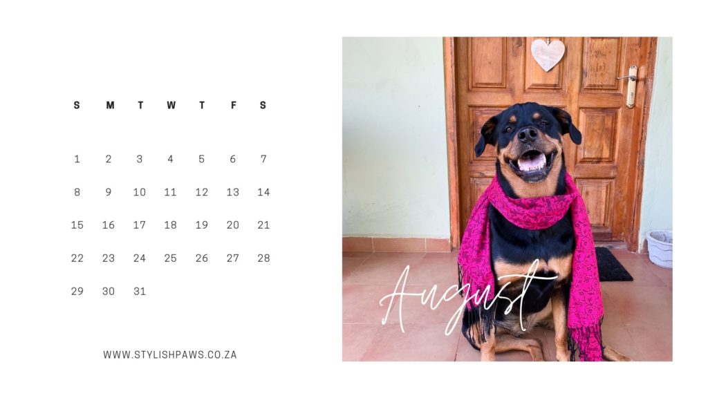 August printable and digital calendar