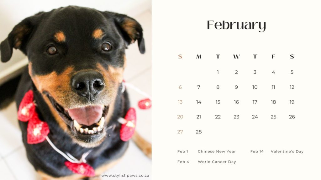 February digital calendar