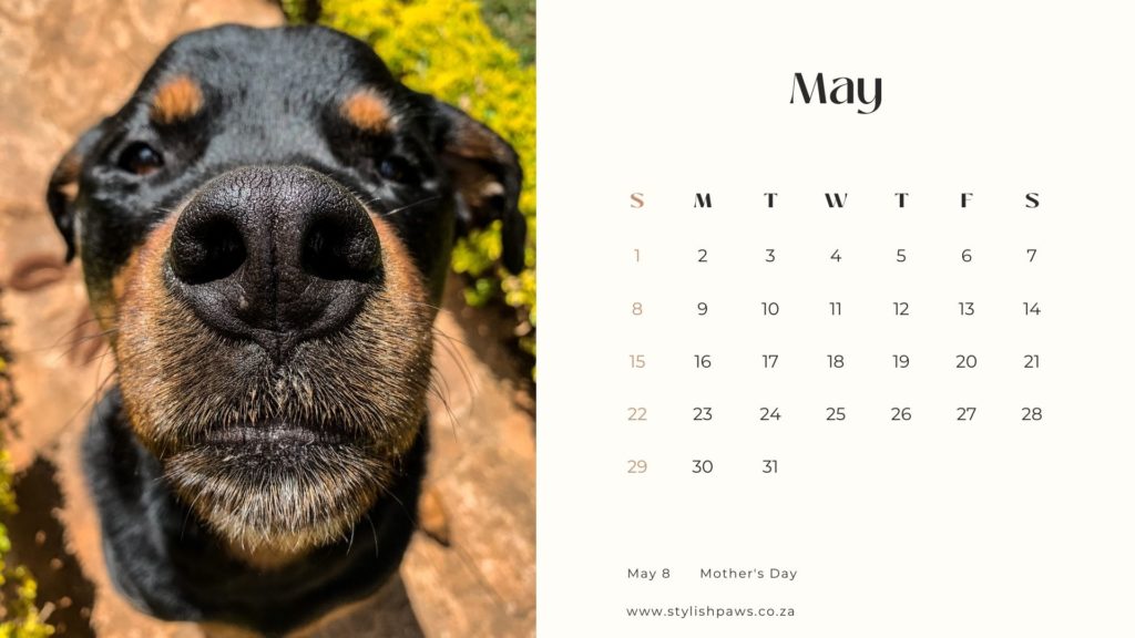 free printable May 2022 calendar