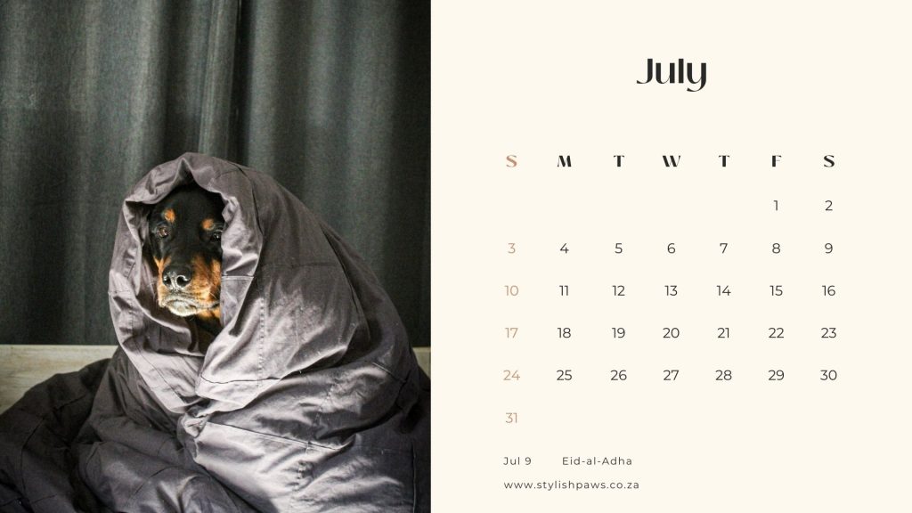 July 2022 printable calendar
