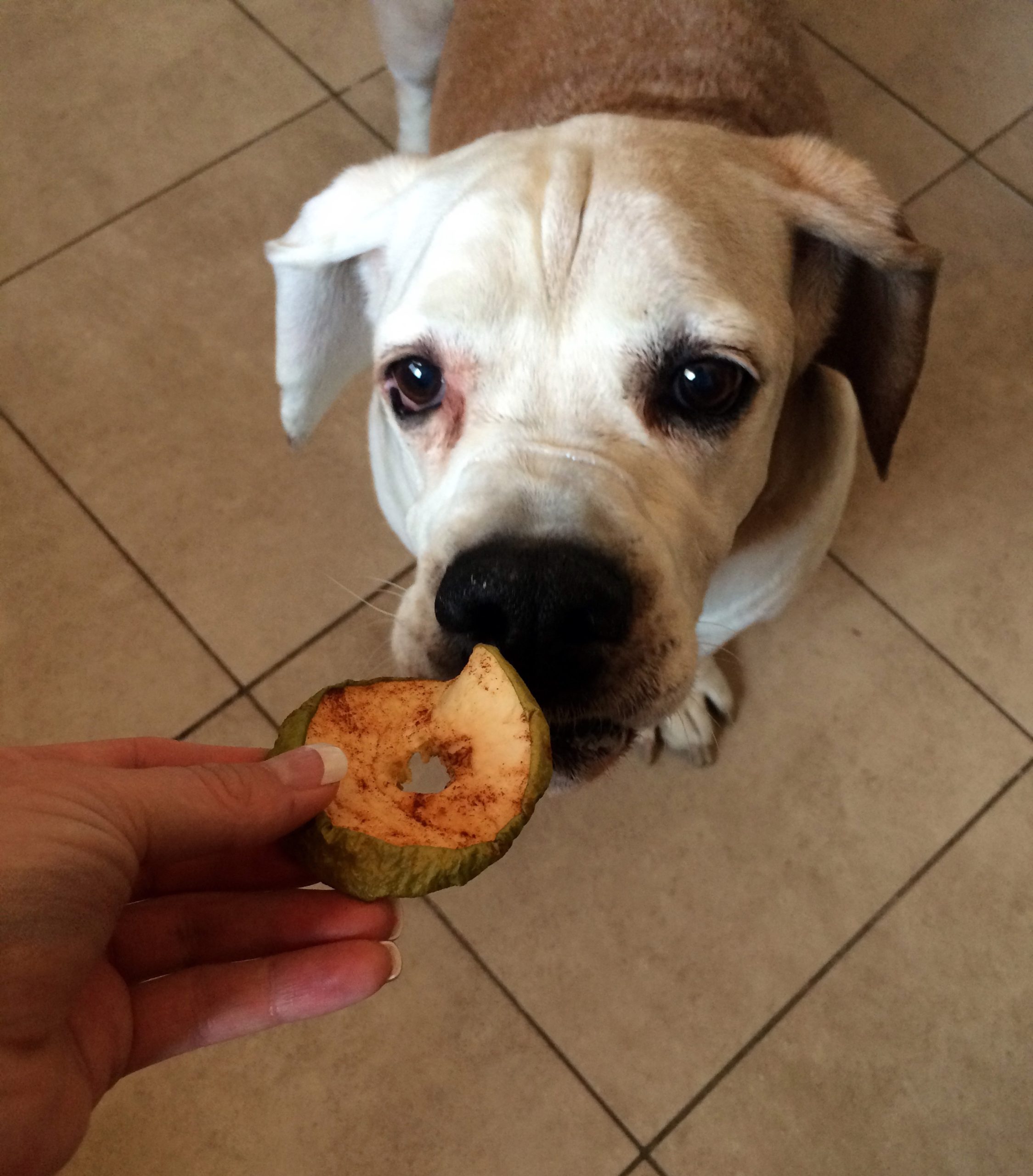 oscar apple