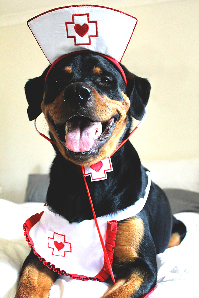 ZaraHalloweenie