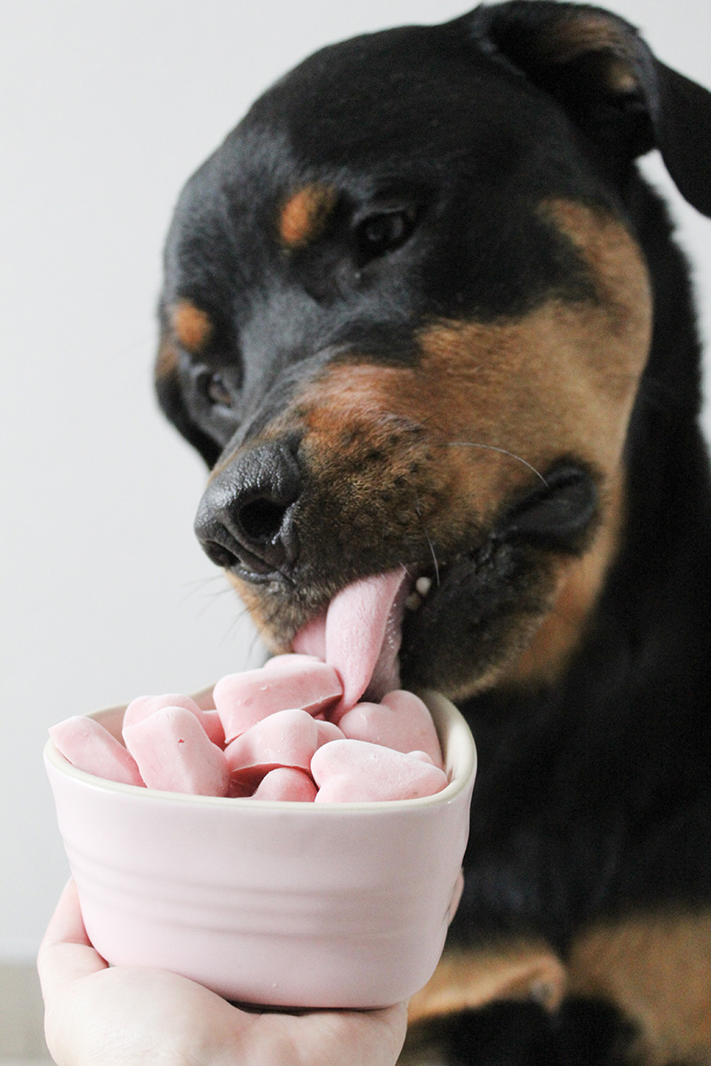 valentines frozen treats zara 3