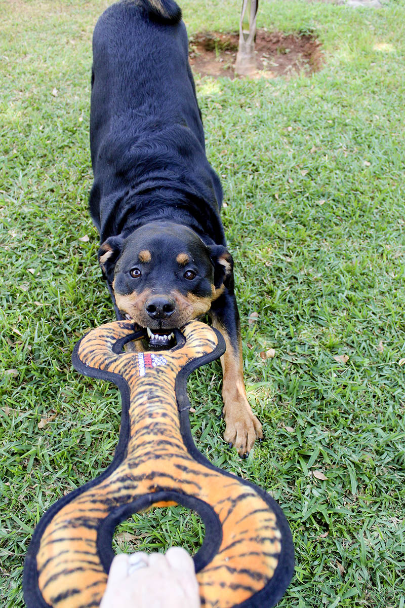 tuffy mega zara3