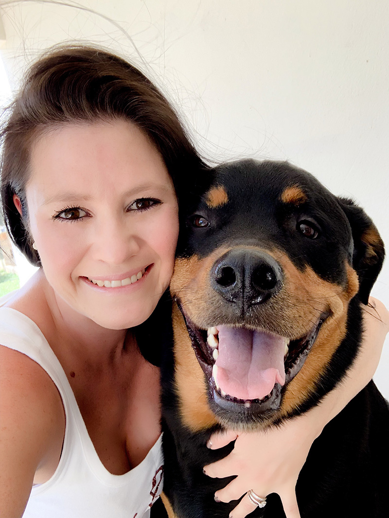 one plan pet insurance