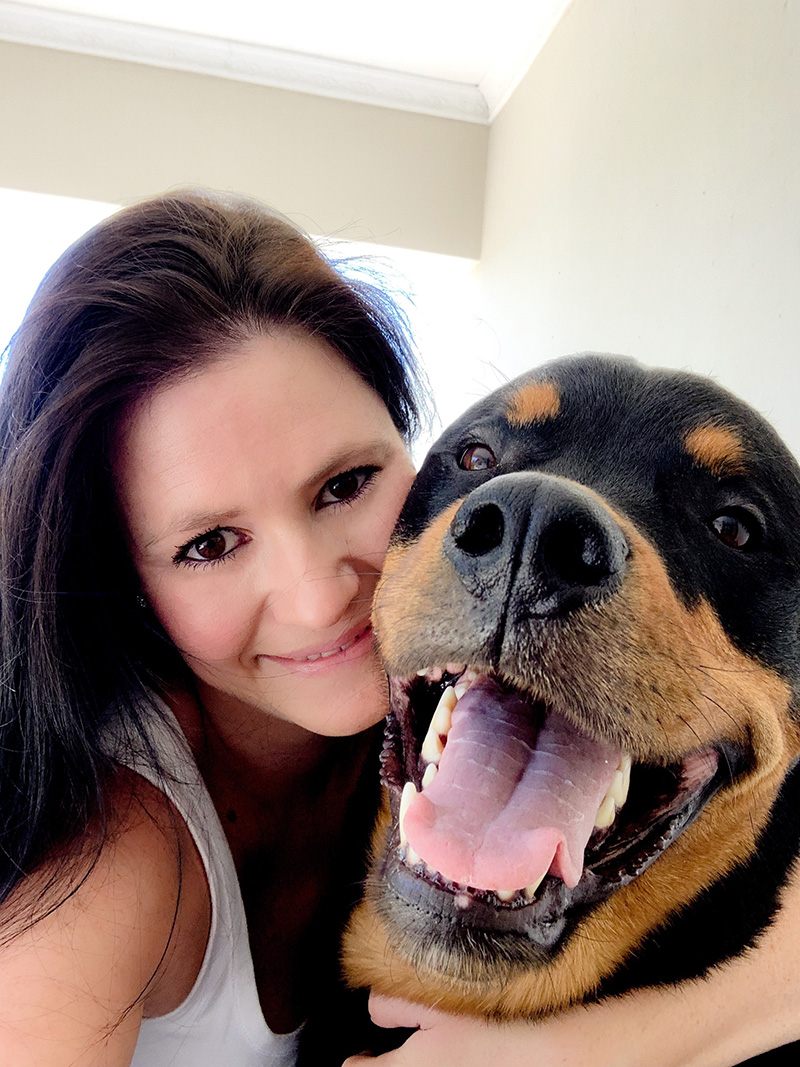 one plan pet insurance2