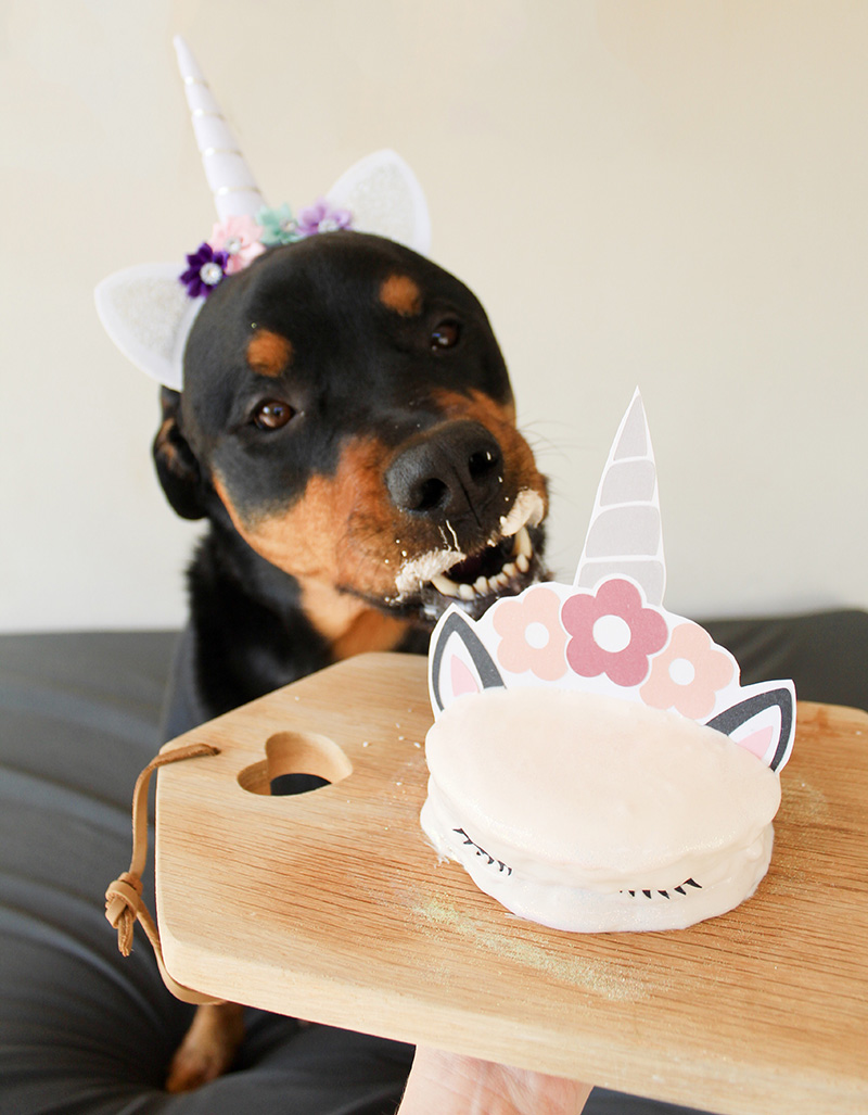 zara-birthday-6