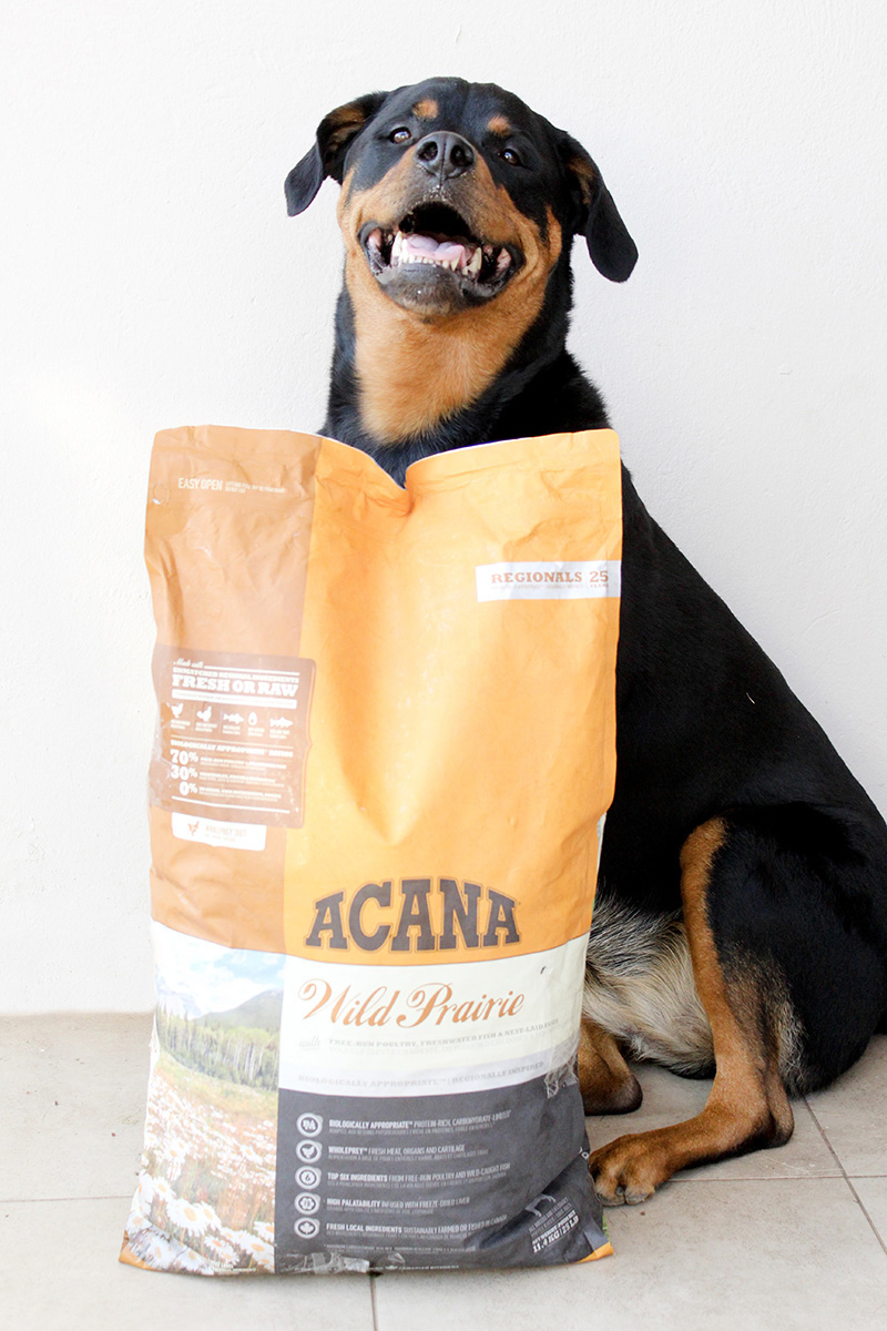 acana-dog-wild-prairie-1-1