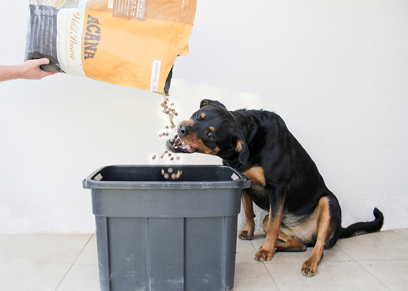 acana-food-wild-prairie-