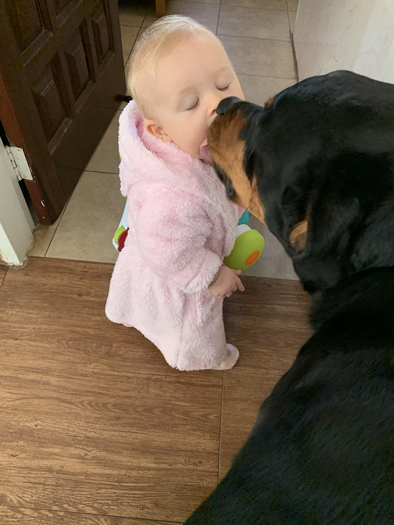 dogsbabies19