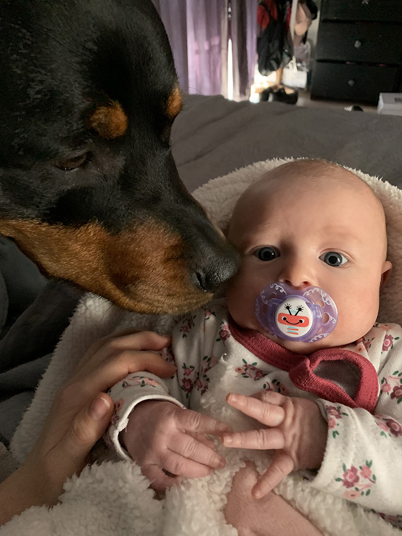 dogsbabies5