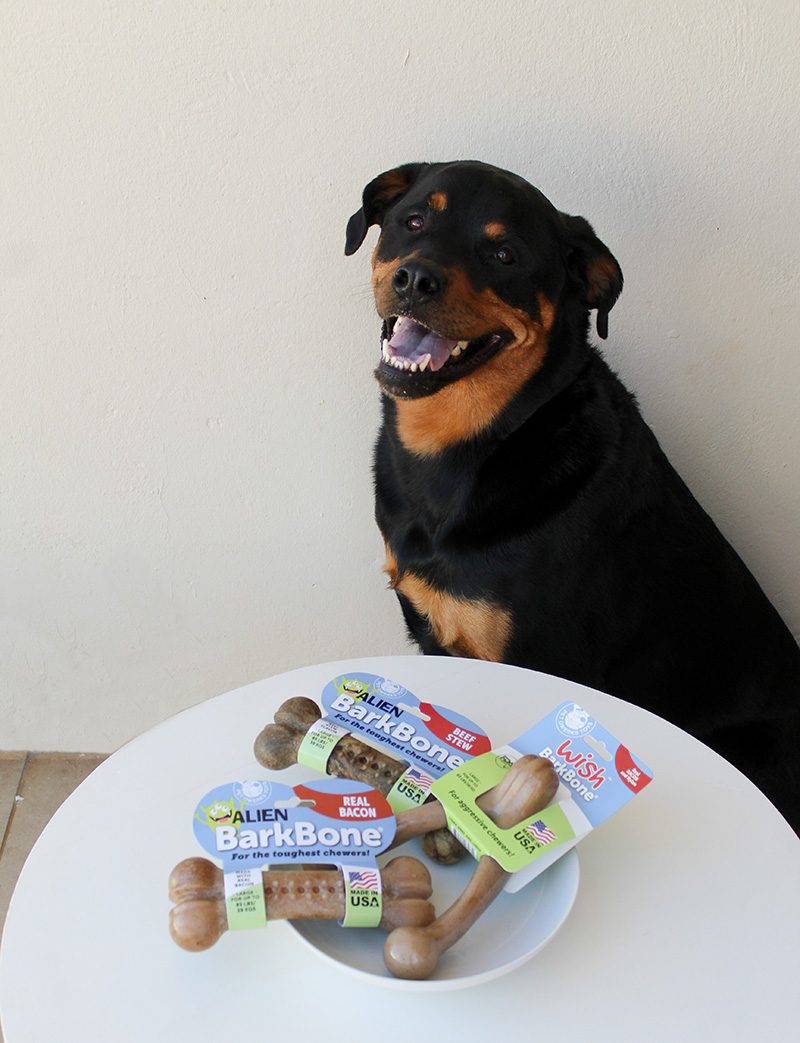 petqwerks-barkbone