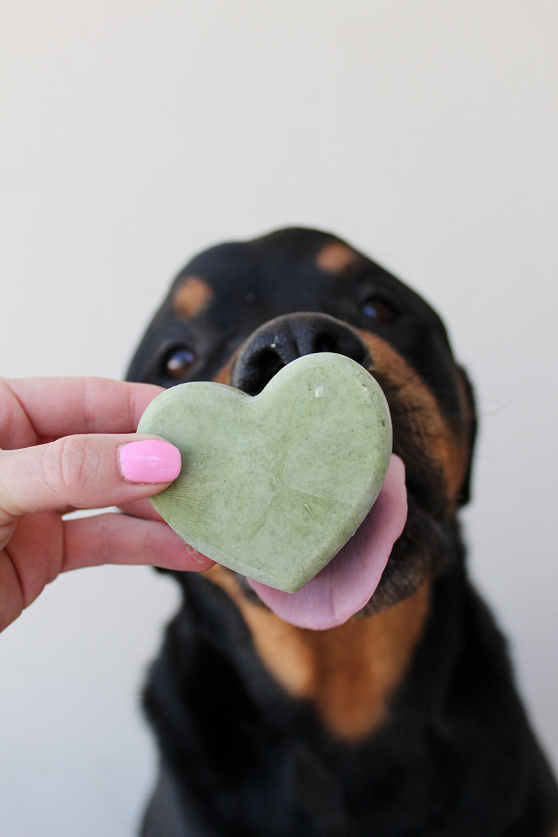 frozen-moringa-dog-treat