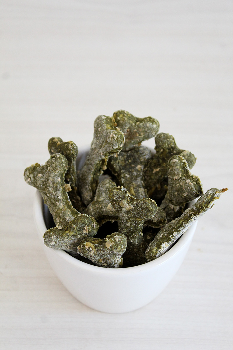 moringa-dog-treats2-1