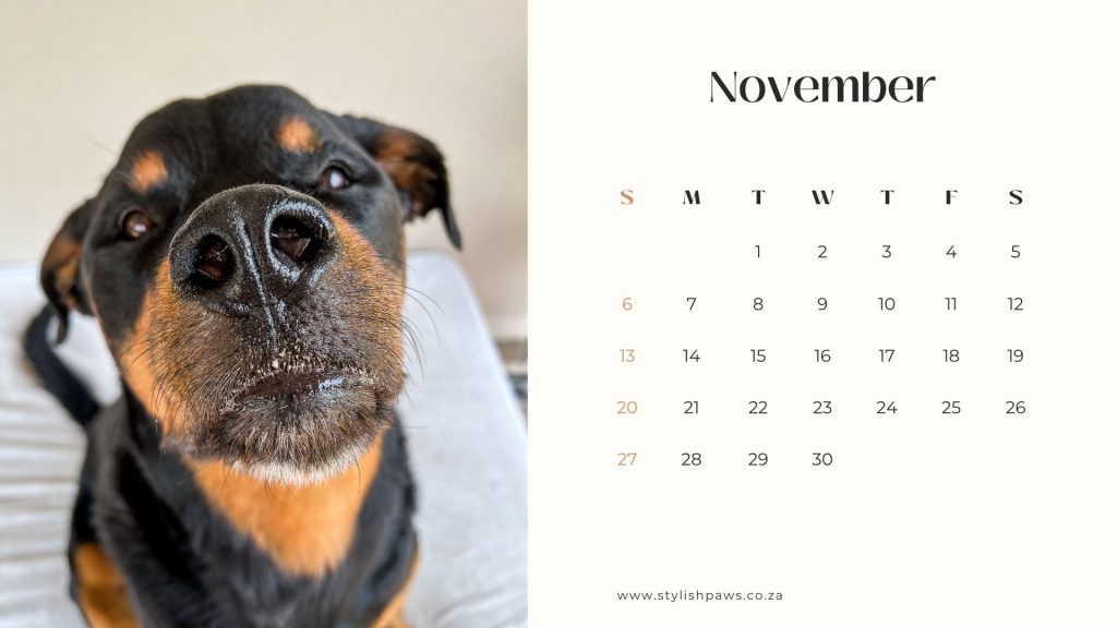 free printable November calendar