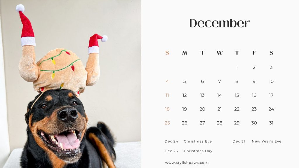 December printable calendar