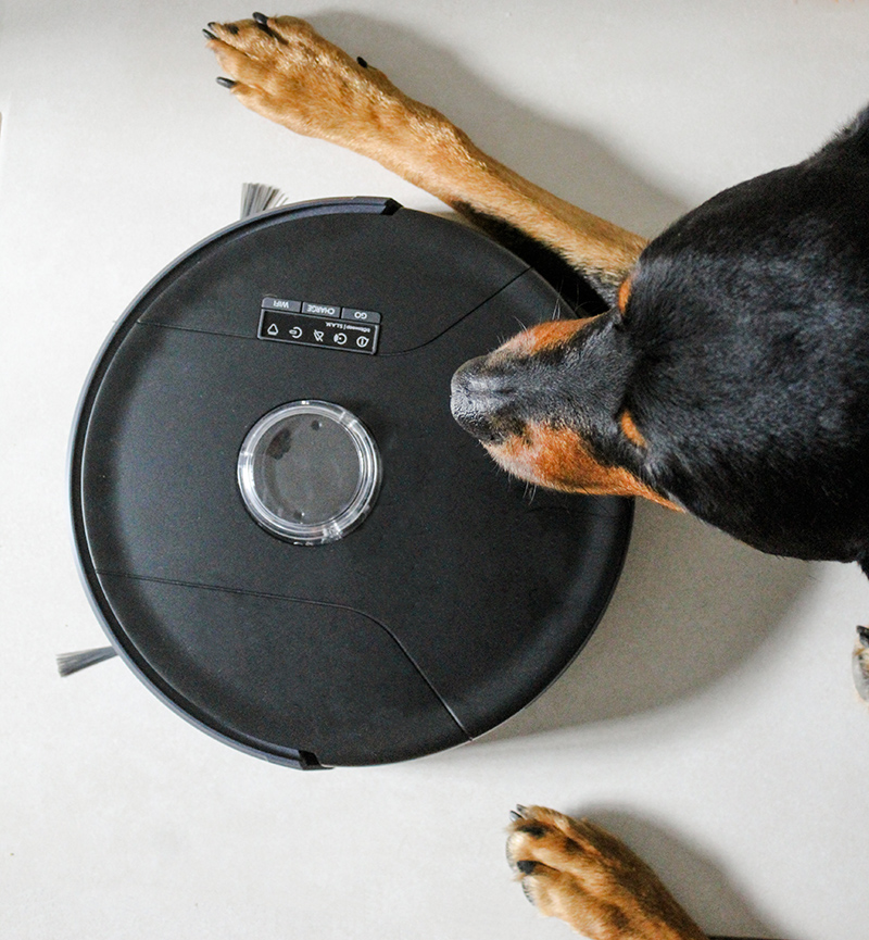 BobSweep Pet Hair Slam Robotic Vacuum Cleaner and Mop - Stylish Paws