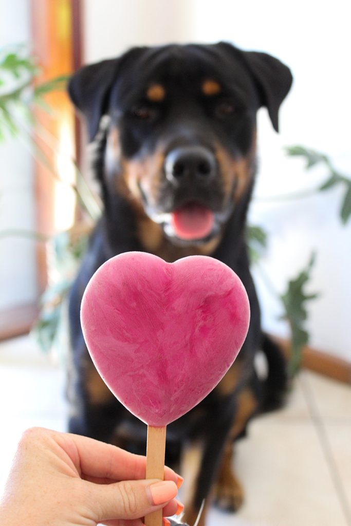 Valentine's Day dog treat recipe