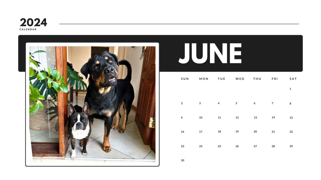 June 2024 calendar