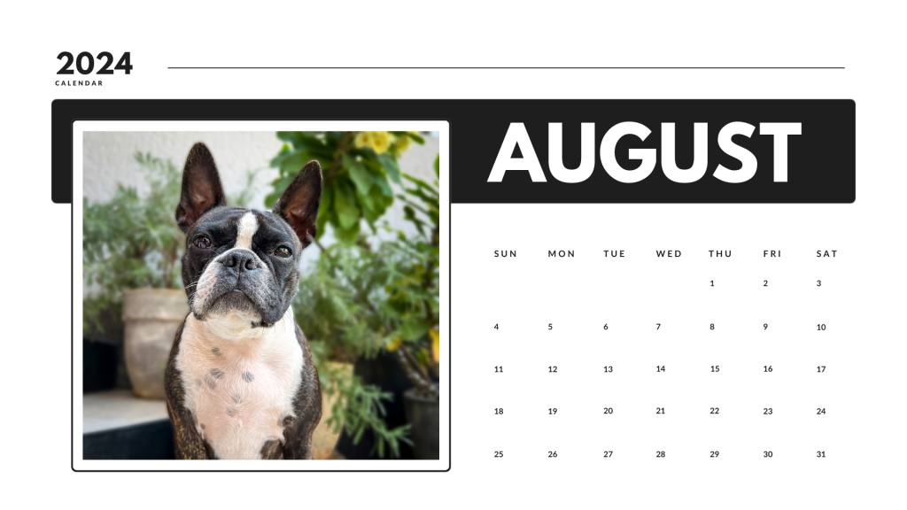 August 2024 calendar