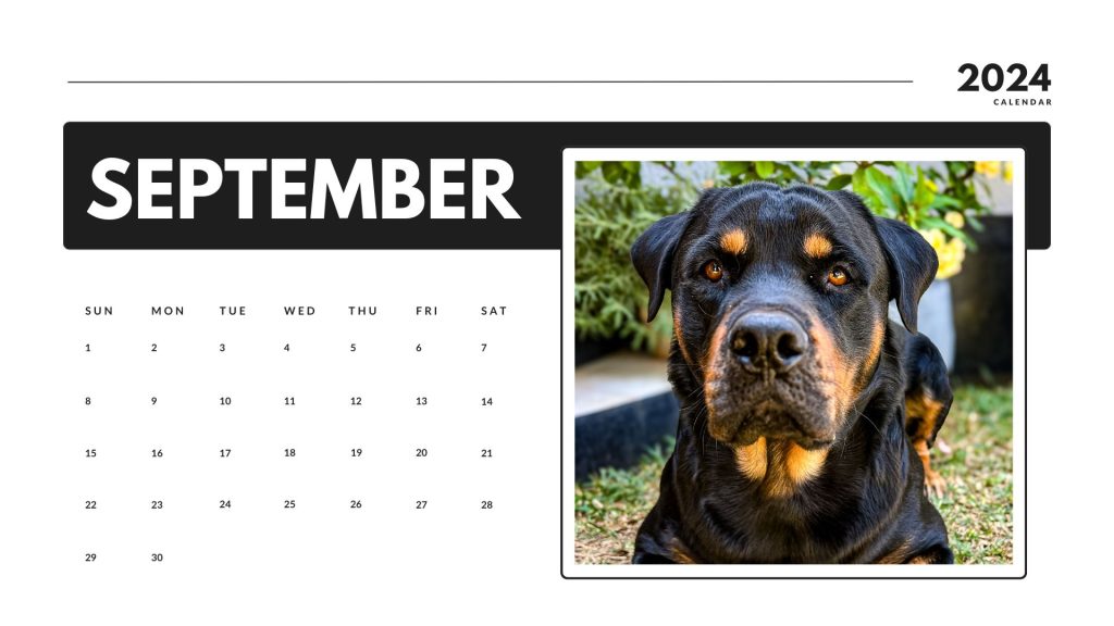 September 2024 calendar