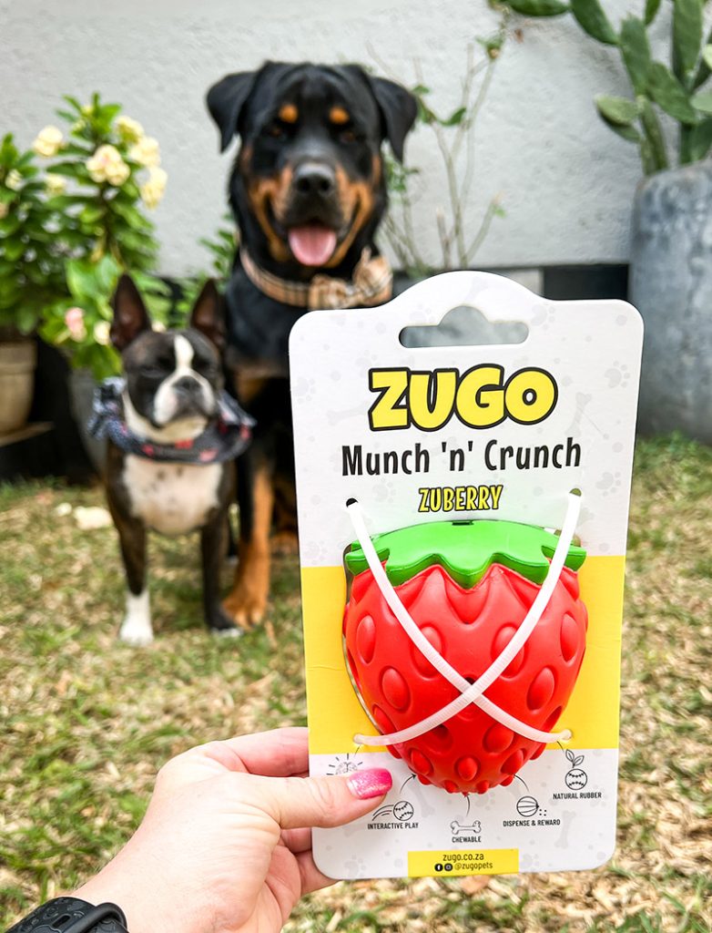 Zugo pet products