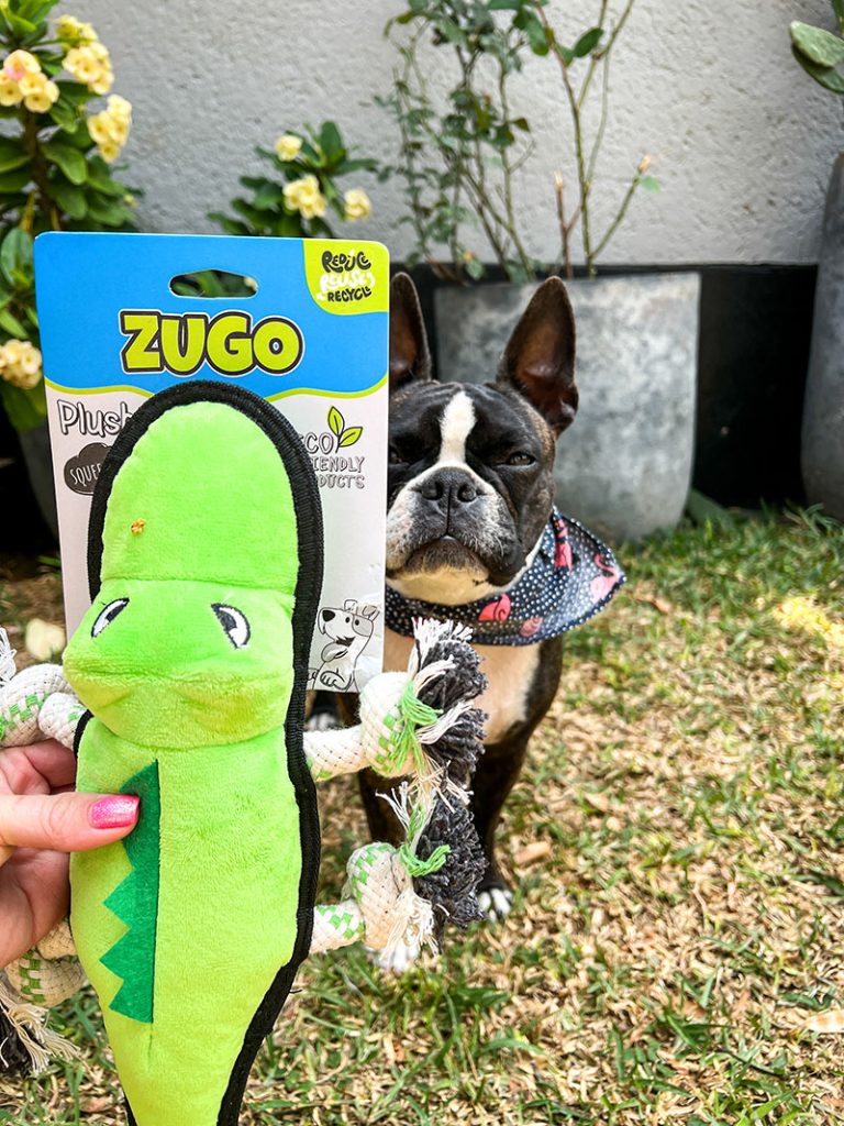 Zugo dog toy