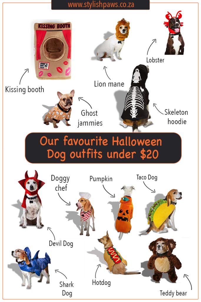 Halloween dog outfits