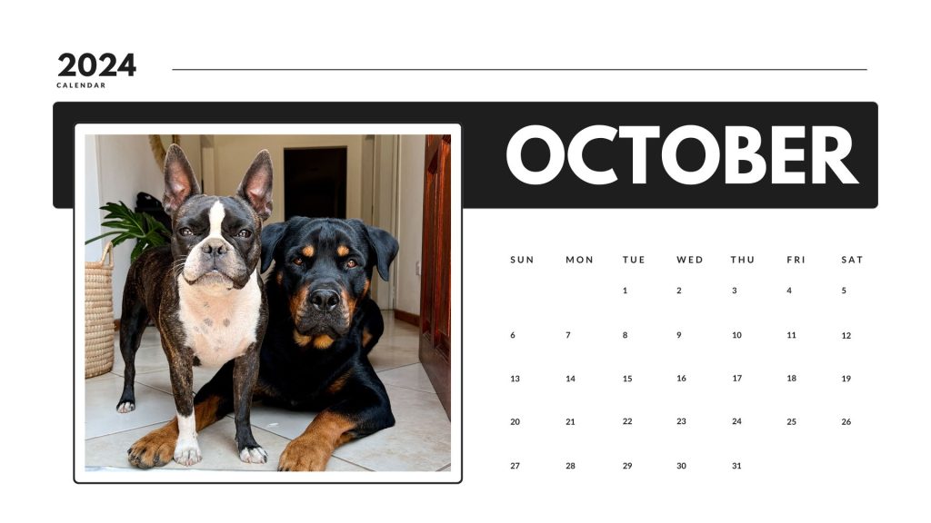 October 2024 calendar