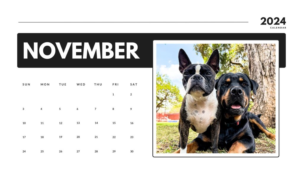 November 2024 calendar