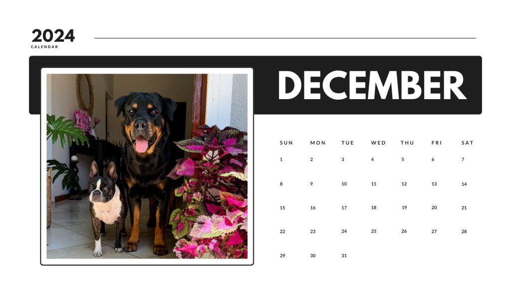 December calendar