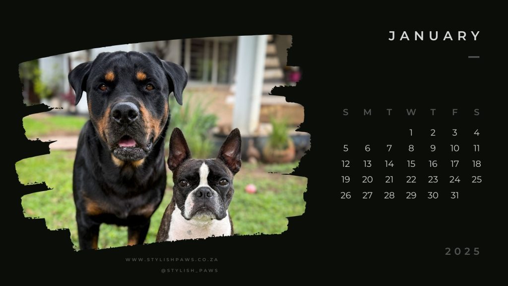 January 2025 calendar