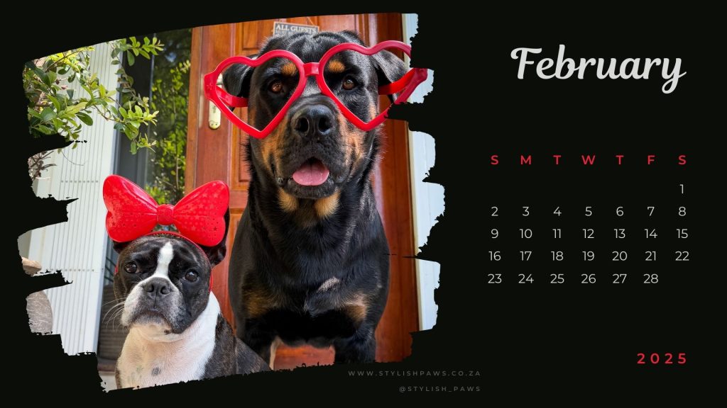 February 2025 calendar