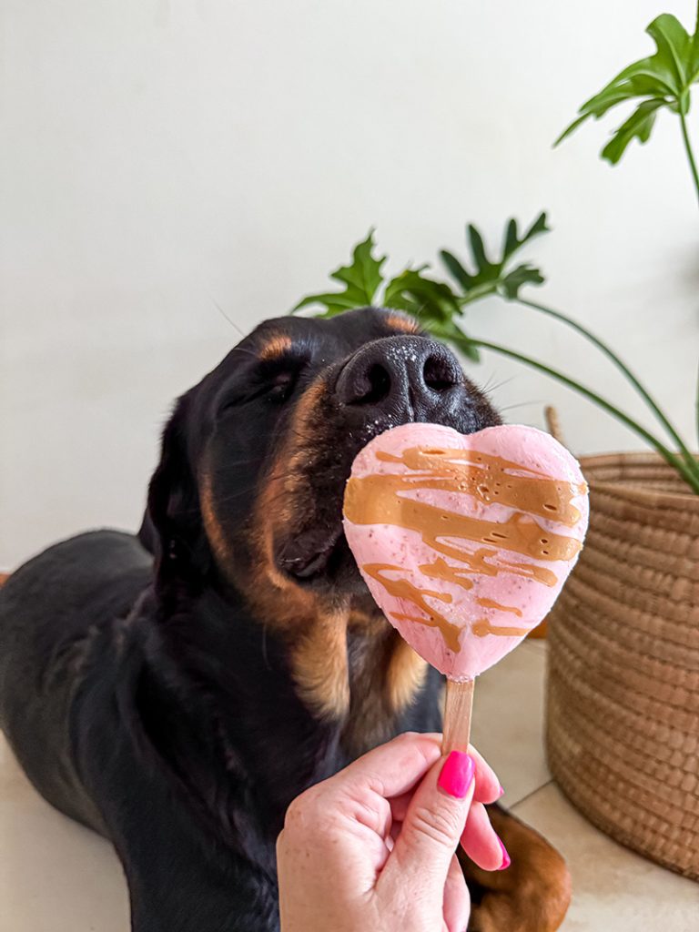 3 ingredient Valentine's Day dog treats