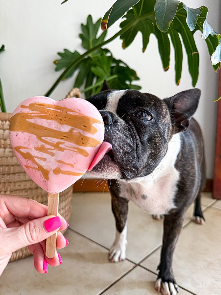 3 ingredient Valentine's Day dog treats