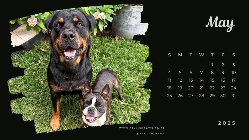 May digital calendar