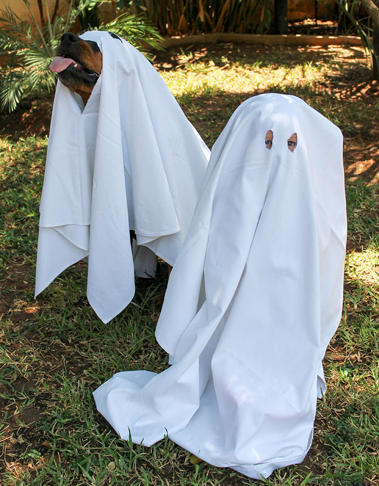 halloween ghost costume