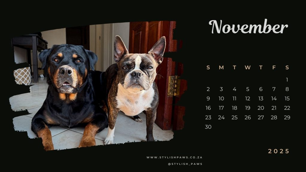 November 2025 calendar