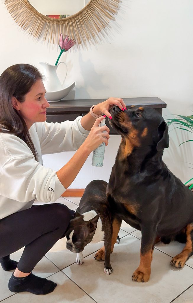 Pets Are Kids Doggy Dental Spray