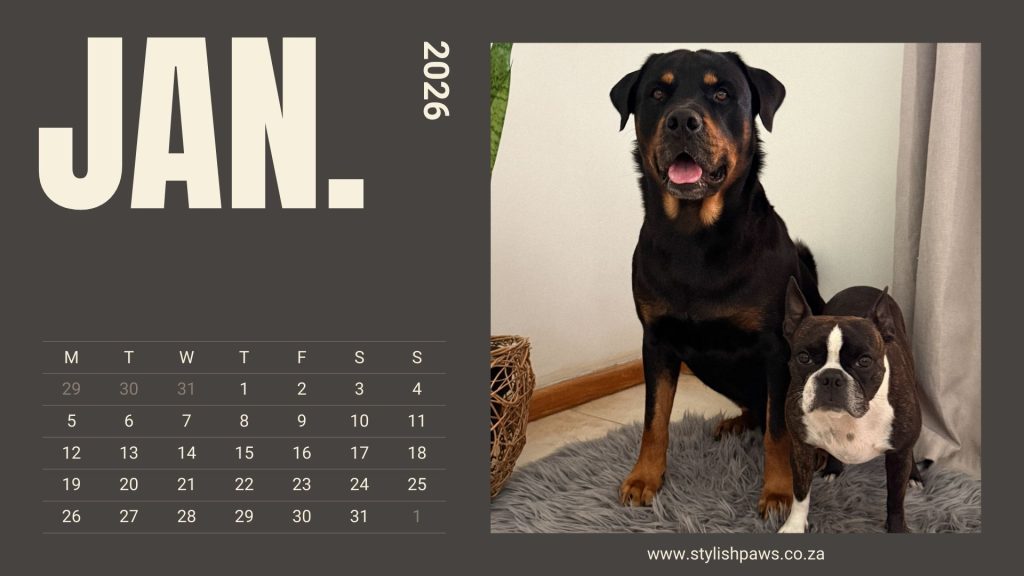 January 2026 calendar