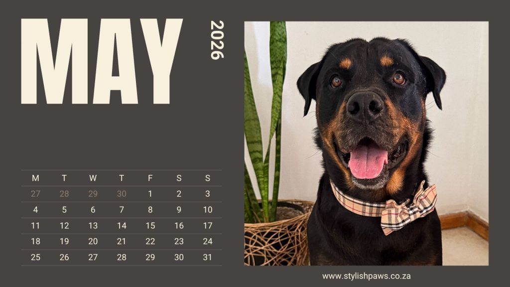 May 2026 Calendar